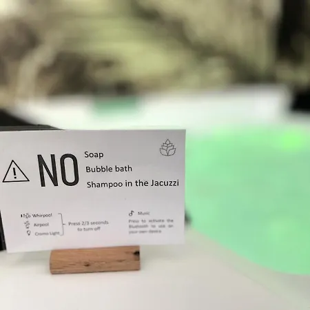 Heliconia Daire Bari