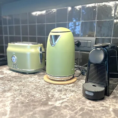 Heliconia * בארי